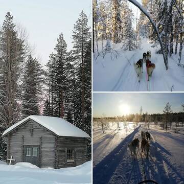 Фото номера Четырехместный номер с общей ванной комнатой Курортные отели Old Pine Husky Lodge г. Кеминмаа 10